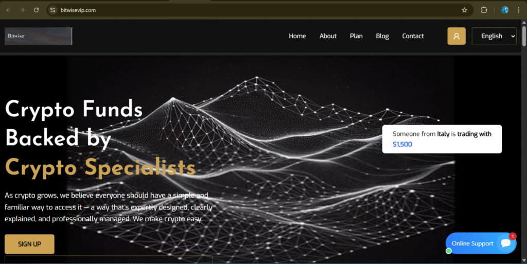 Bitwisevip.com