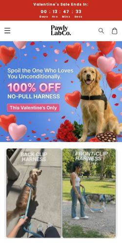 Is Betterdoglife.com Legit? Full Scam Analysis