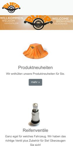 Buer-kg.de Review – Red Flags of a Shopping Scam