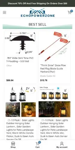 Echopowerzone.com – Legit Business or Scam Operation? 21 Site Screenshot