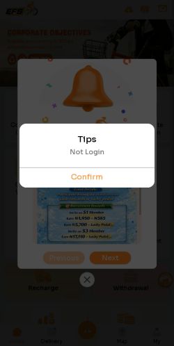 Efs.vip Review – Don’t Lose Your Money