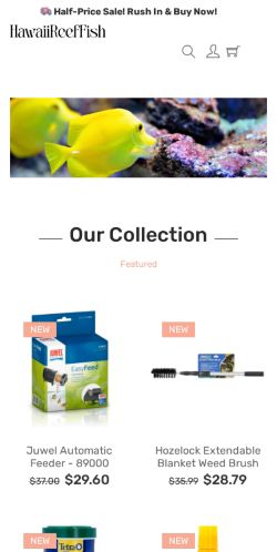 Hawaiireeffish.com Review – Avoid This Fake Online Store