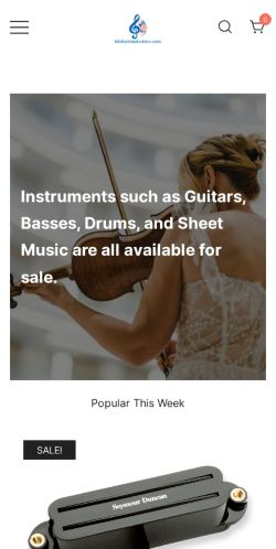Idolizemusicstore.com Review – Real Products or Scam Store?