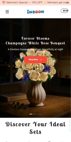 Insoontoys.com Review – Red Flags of a Shopping Scam