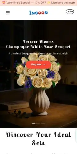 Insoontoys.com Review – Red Flags of a Shopping Scam 21 Site Screenshot