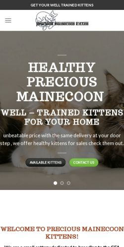 Is Preciousmainecoonkittens.shop a Scam? (Detailed Review)