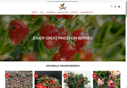theberriesgarden.com Review – Real Shop or Fraudulent Website?