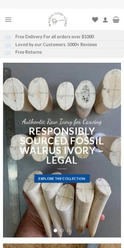 Is Walrusivorystore.com a Scam? (Detailed Review)
